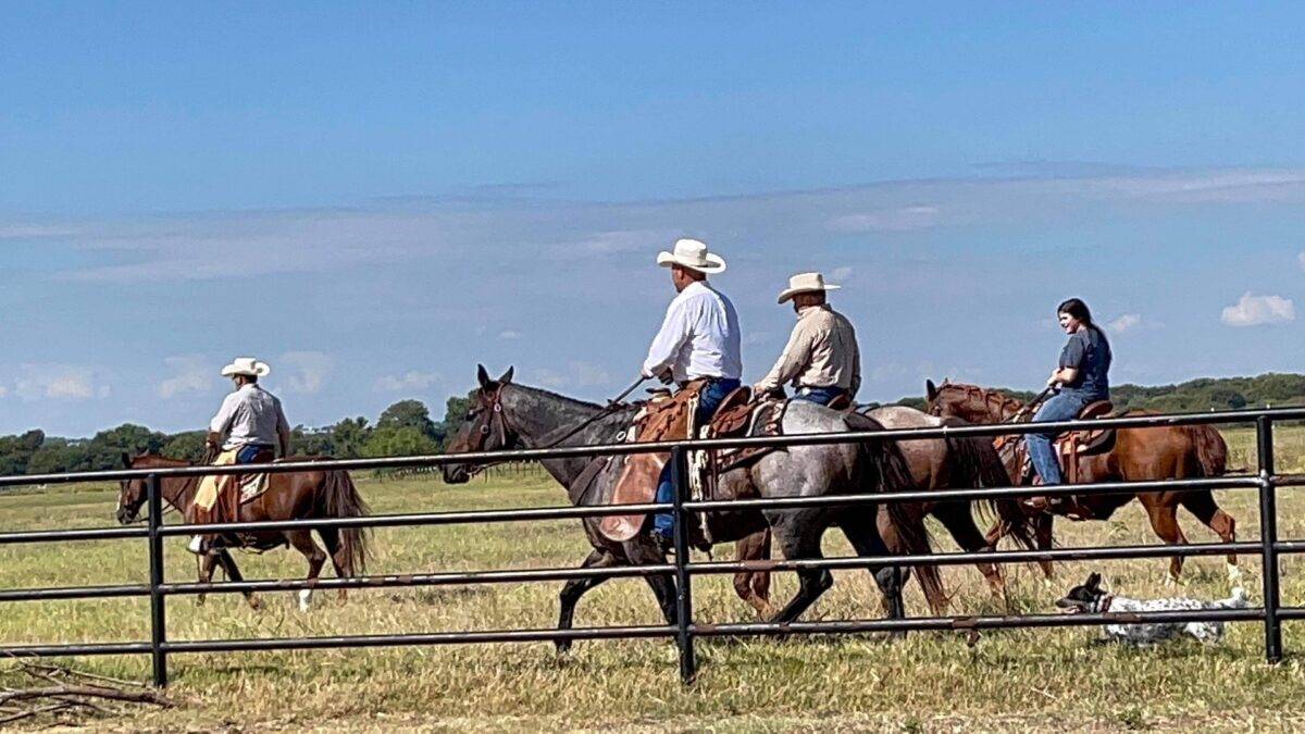 Picture of the Spooner Ranch